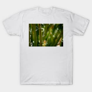 Yucca Art T-Shirt